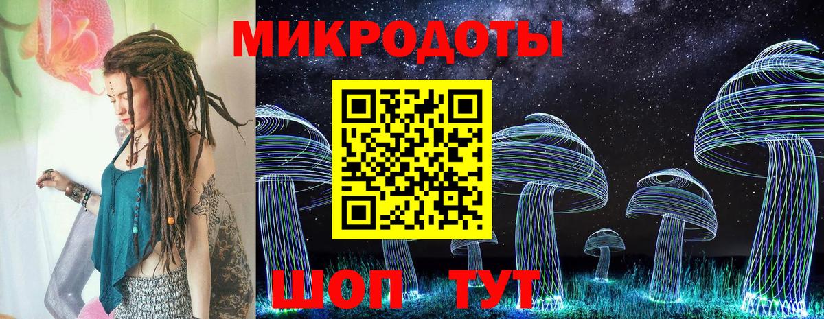 Псилоцибиновые грибы Psilocybe Когалым