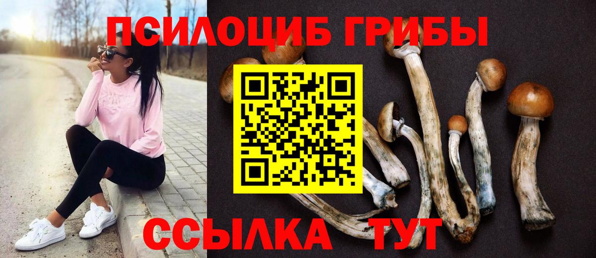 Когалым  Галлюциногенные грибы мухоморы  Вход с VPN 